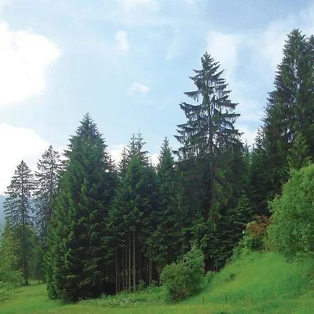 Oberhofweg Appartement